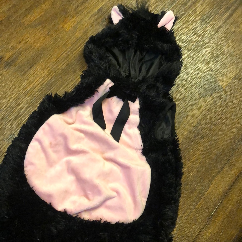 Halloween Kitty Costume